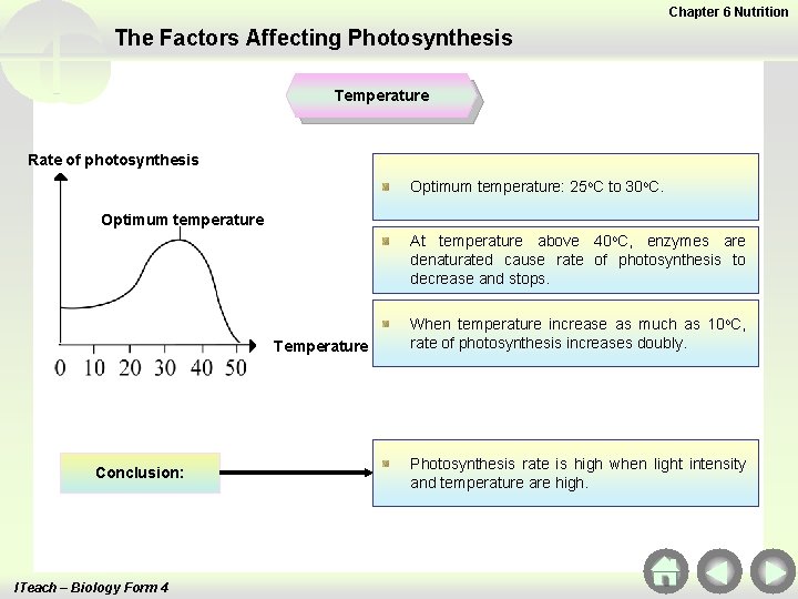 Chapter 6 Nutrition The Factors Affecting Photosynthesis Temperature Rate of photosynthesis Optimum temperature: 25