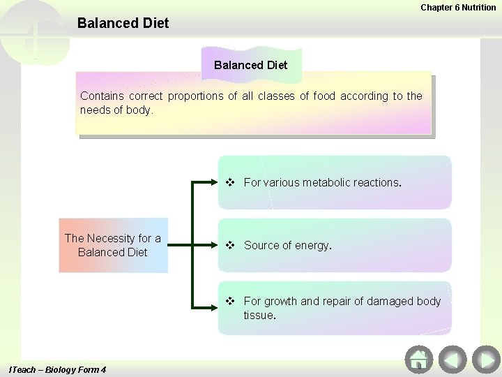 Chapter 6 Nutrition Balanced Diet Contains correct proportions of all classes of food according