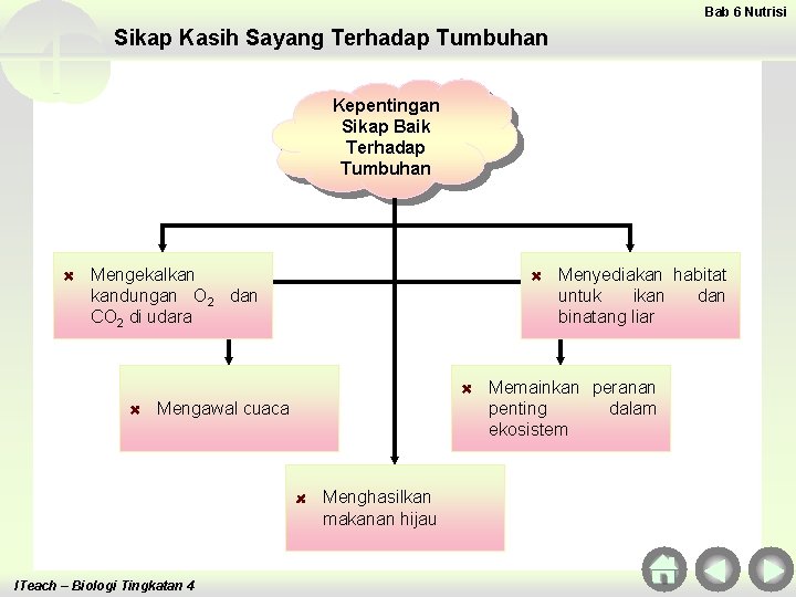 Bab 6 Nutrisi Sikap Kasih Sayang Terhadap Tumbuhan Kepentingan Sikap Baik Terhadap Tumbuhan Mengekalkan
