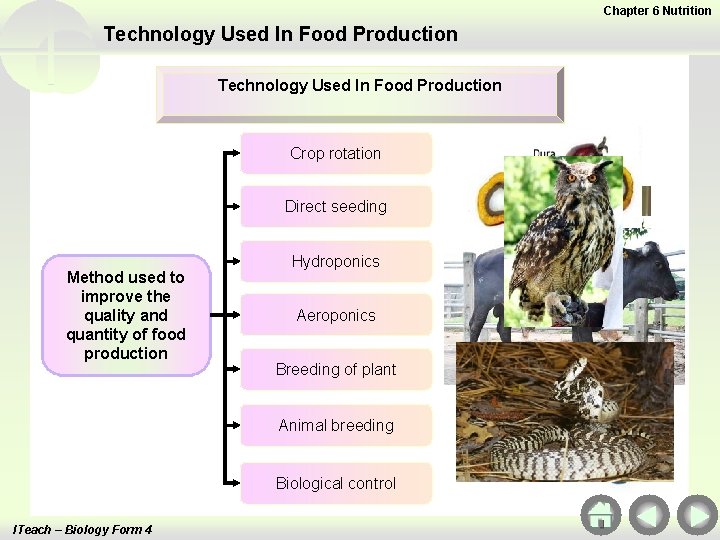 Chapter 6 Nutrition Technology Used In Food Production Crop rotation Direct seeding Method used