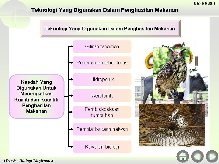 Bab 6 Nutrisi Teknologi Yang Digunakan Dalam Penghasilan Makanan Giliran tanaman Penanaman tabur terus