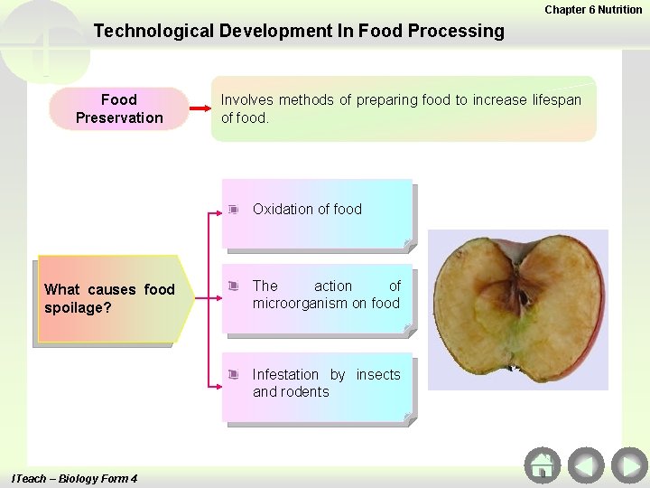 Chapter 6 Nutrition Technological Development In Food Processing Food Preservation Involves methods of preparing