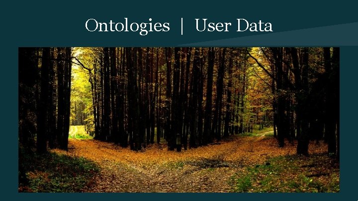 Ontologies | User Data 