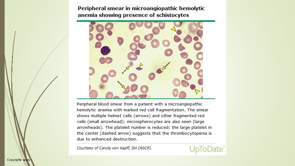 Copyrights apply Copyrights apply