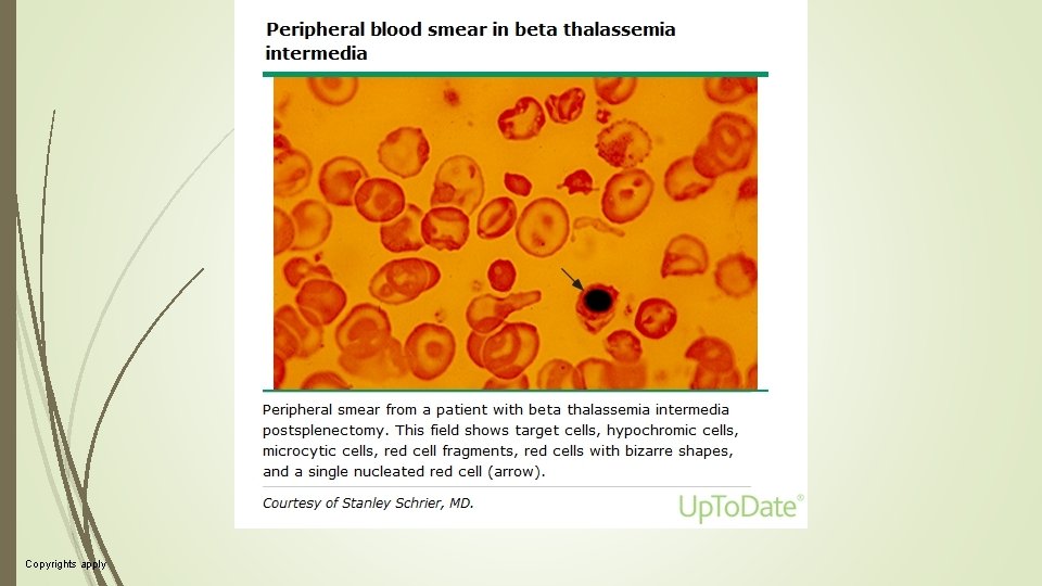 Copyrights apply Copyrights apply