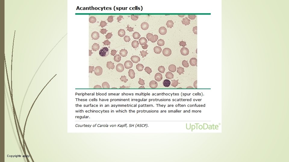 Copyrights apply Copyrights apply