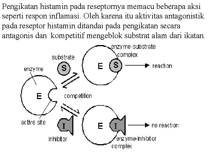 Pengikatan histamin pada reseptornya memacu beberapa aksi seperti respon inflamasi. Oleh karena itu aktivitas Pengikatan histamin pada reseptornya memacu beberapa aksi seperti respon inflamasi. Oleh karena itu aktivitas