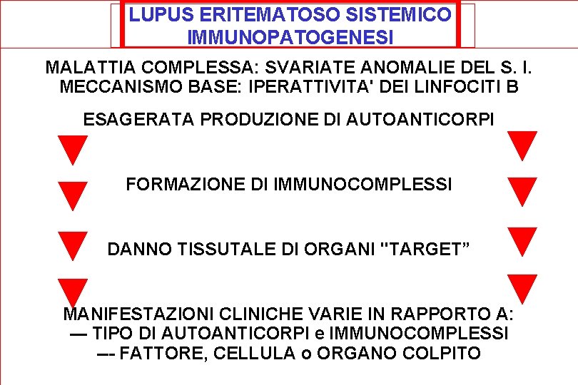 LUPUS ERITEMATOSO SISTEMICO IMMUNOPATOGENESI MALATTIA COMPLESSA: SVARIATE ANOMALIE DEL S. I. MECCANISMO BASE: IPERATTIVITA'