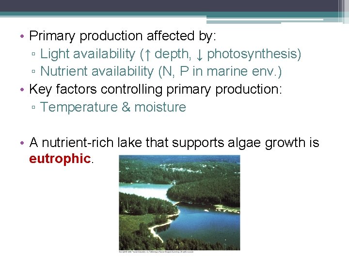  • Primary production affected by: ▫ Light availability (↑ depth, ↓ photosynthesis) ▫