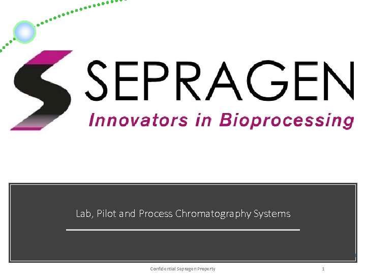 Lab, Pilot and Process Chromatography Systems Sepragen Corporation Confidential Sepragen Property 1 