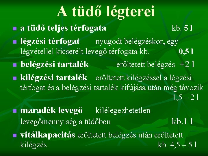 A tüdő légterei n n a tüdő teljes térfogata kb. 5 l légzési térfogat