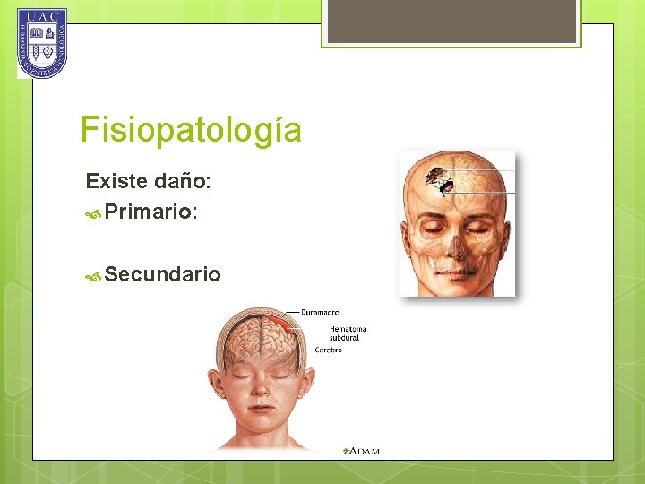 Fisiopatología Existe daño: Primario: Secundario 