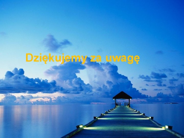 Dziękujemy za uwagę 