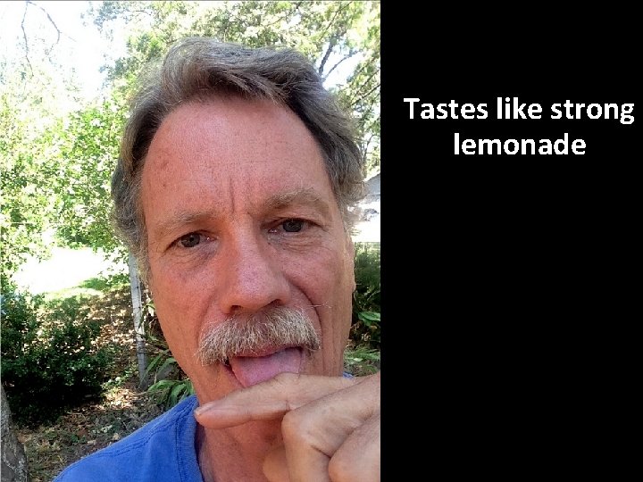 Tastes like strong lemonade 