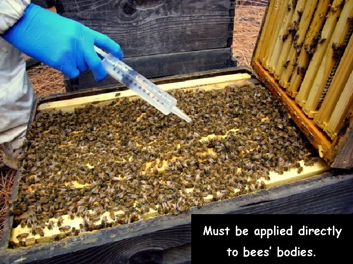 Must be applied directly to bees’ bodies. 