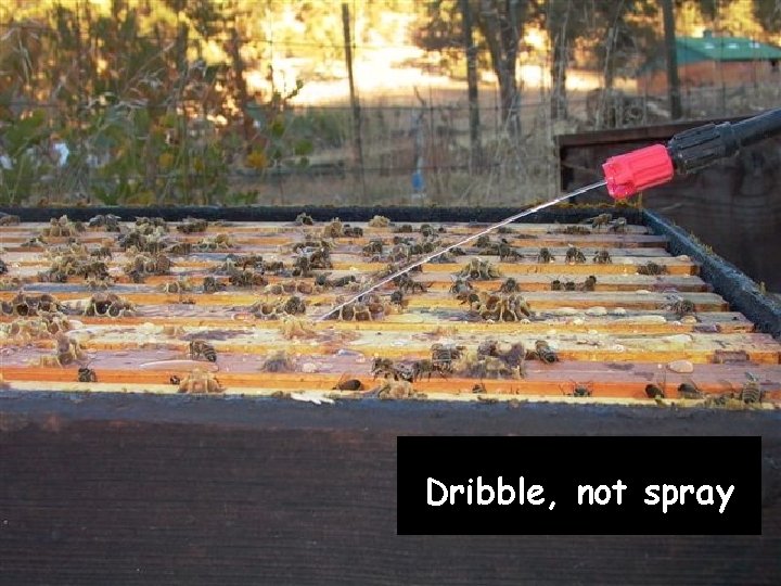 Dribble, not spray 