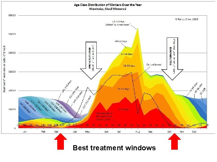 Seasonality Best treatment windowsof Worker Demographics 