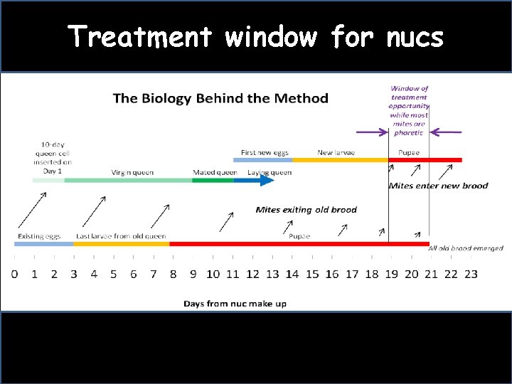 Treatment window for nucs 