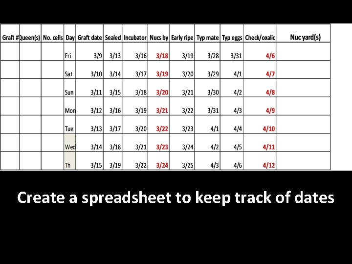 Create a spreadsheet to keep track of dates 