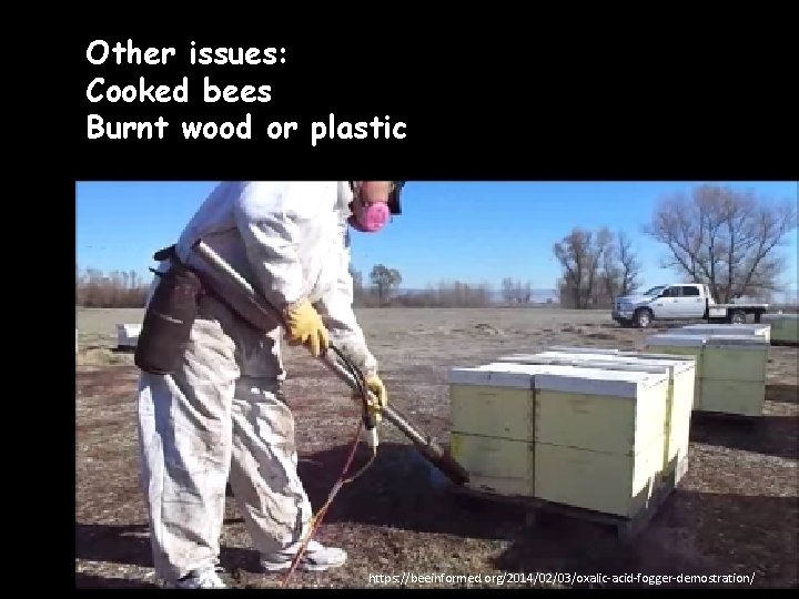 Other issues: Cooked bees Burnt wood or plastic https: //beeinformed. org/2014/02/03/oxalic-acid-fogger-demostration/ 