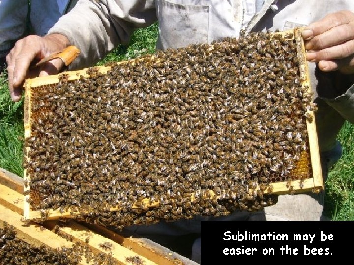 Sublimation may be easier on the bees. 