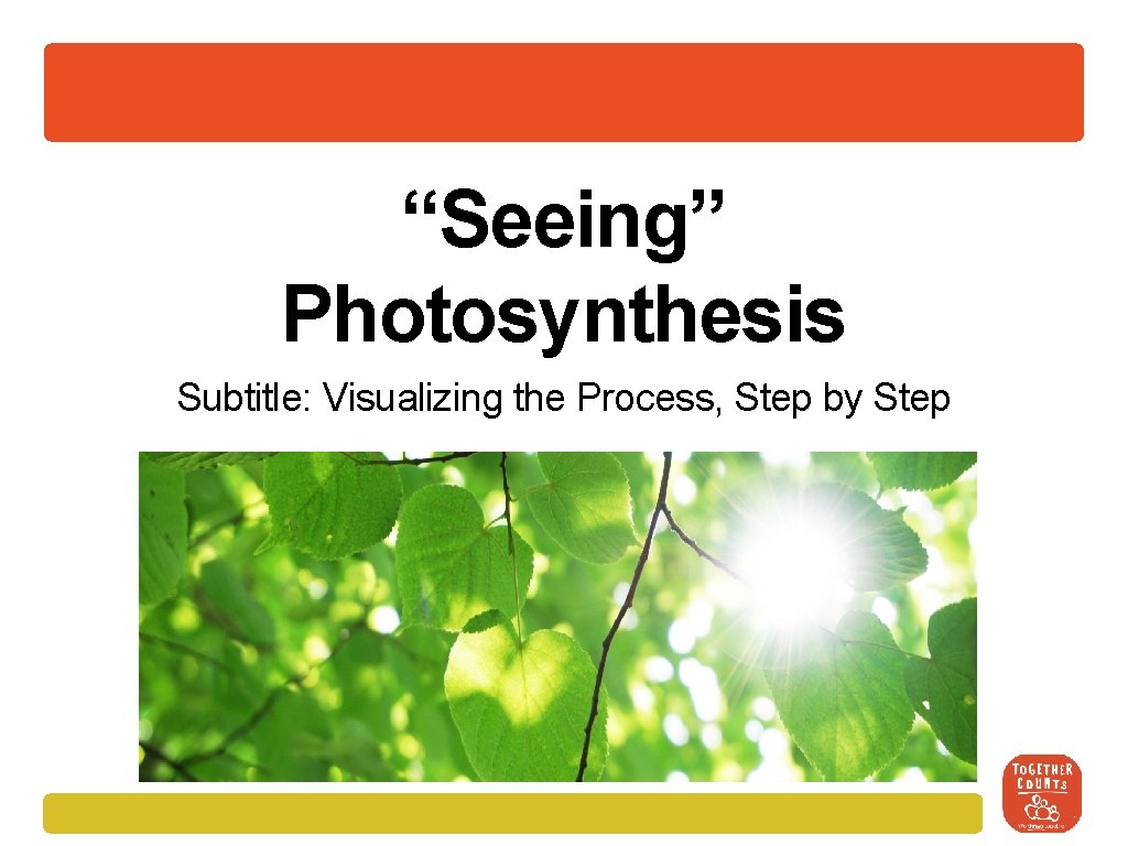 “Seeing” Photosynthesis Subtitle: Visualizing the Process, Step by Step 