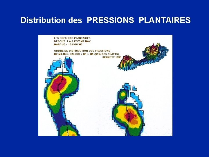  Distribution des PRESSIONS PLANTAIRES 