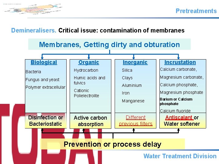 Pretreatments Demineralisers. Critical issue: contamination of membranes Membranes, Getting dirty and obturation Biological Organic