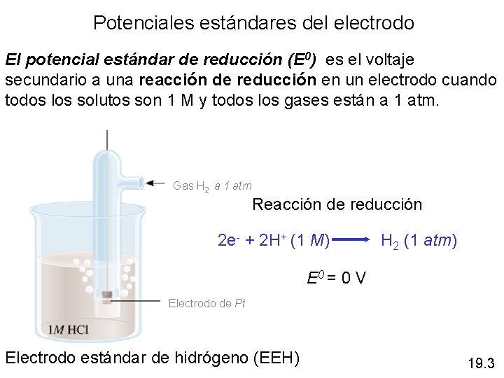 Potenciales estándares del electrodo El potencial estándar de reducción (E 0) es el voltaje