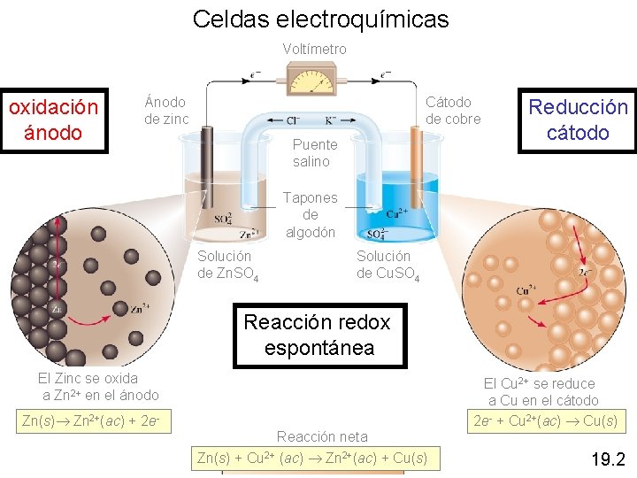 Celdas electroquímicas Voltímetro oxidación ánodo Ánodo de zinc Cátodo de cobre Puente salino Reducción