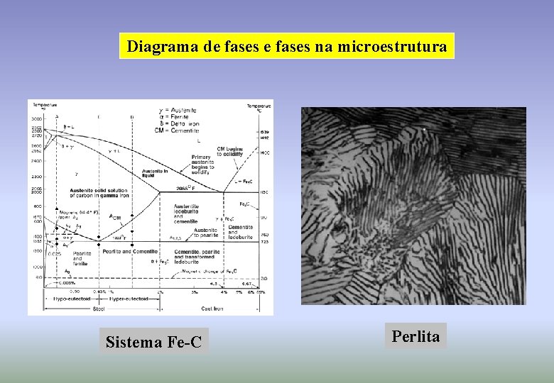 Diagrama de fases na microestrutura Sistema Fe-C Perlita 