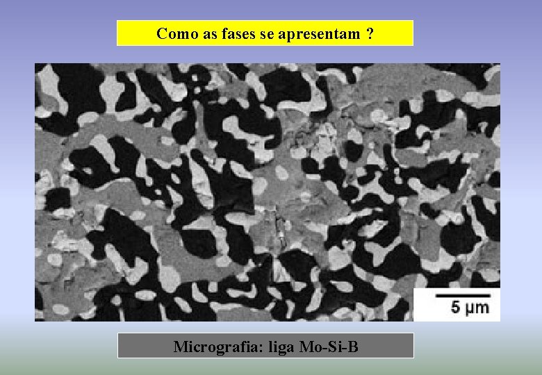 Como as fases se apresentam ? Micrografia: liga Mo-Si-B 