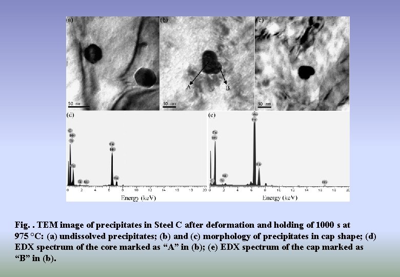 Fig. . TEM image of precipitates in Steel C after deformation and holding of