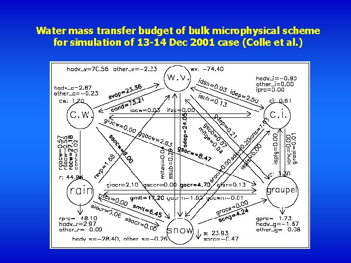 Water mass transfer budget of bulk microphysical scheme for simulation of 13 -14 Dec