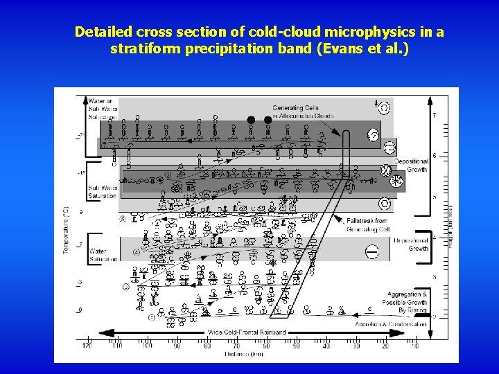 Detailed cross section of cold-cloud microphysics in a stratiform precipitation band (Evans et al.