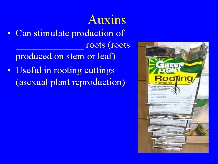 Auxins • Can stimulate production of _______ roots (roots produced on stem or leaf)