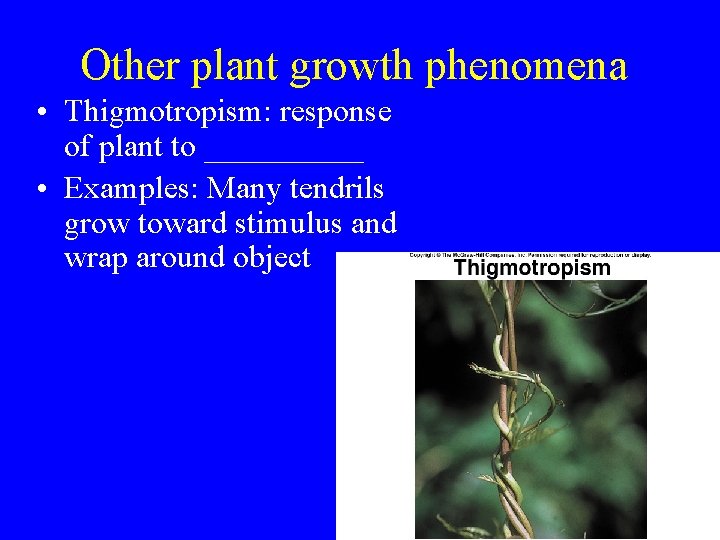 Other plant growth phenomena • Thigmotropism: response of plant to _____ • Examples: Many