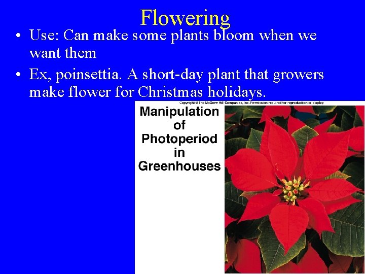 Flowering • Use: Can make some plants bloom when we want them • Ex,