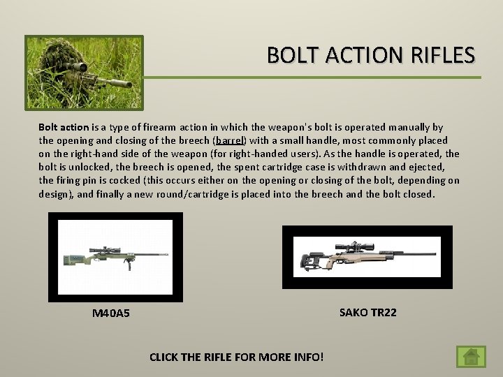 BOLT ACTION RIFLES Bolt action is a type of firearm action in which the