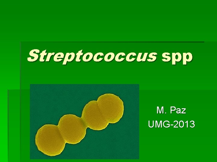 Streptococcus spp M. Paz UMG-2013 