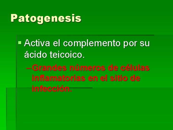 Patogenesis § Activa el complemento por su ácido teicoico. – Grandes números de células