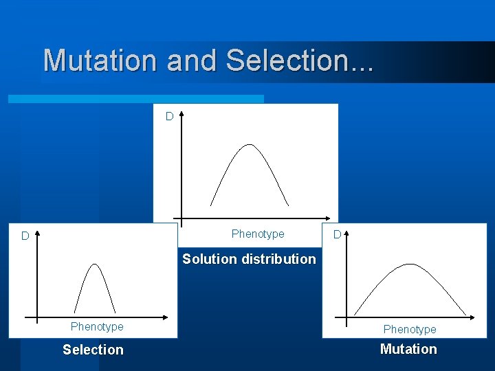 Mutation and Selection. . . D Phenotype D D Solution distribution Phenotype Selection Mutation