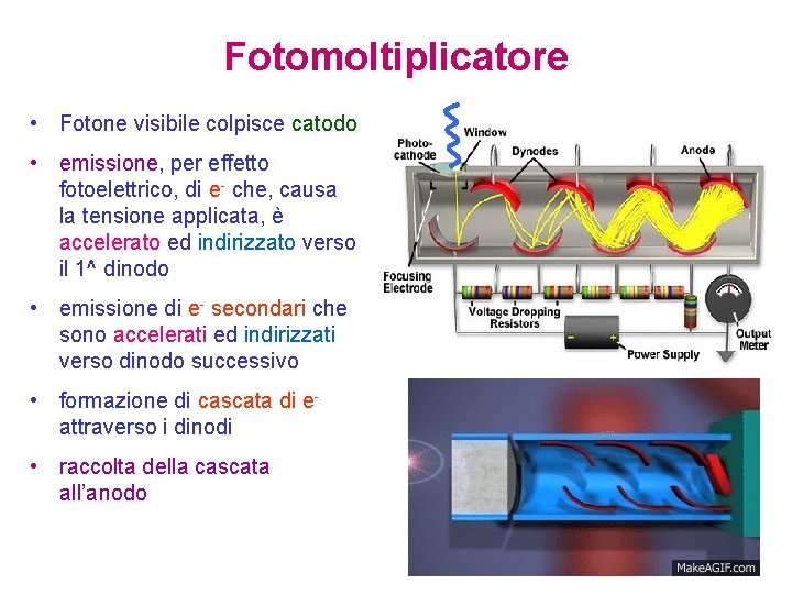 Fotomoltiplicatore • Fotone visibile colpisce catodo • emissione, per effetto fotoelettrico, di e- che,