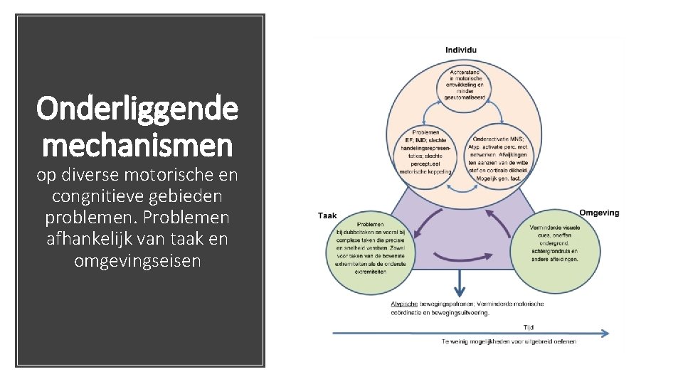 Onderliggende mechanismen op diverse motorische en congnitieve gebieden problemen. Problemen afhankelijk van taak en