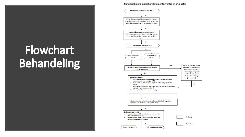 Flowchart Behandeling 