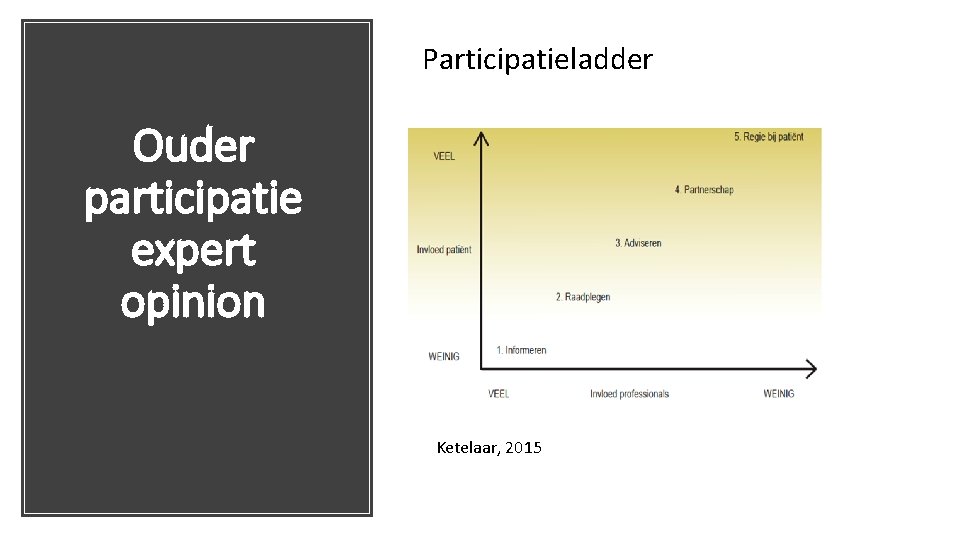 Participatieladder Ouder participatie expert opinion Ketelaar, 2015 