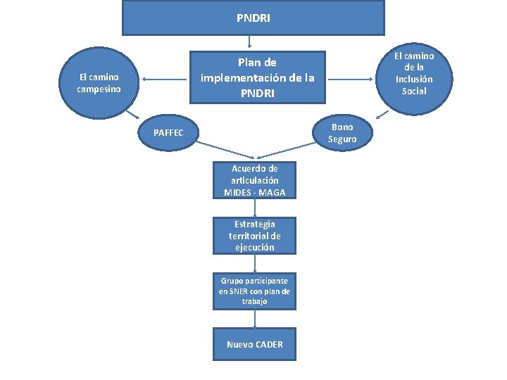 PNDRI El camino de la Inclusión Social Plan de implementación de la PNDRI El