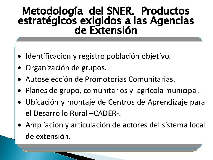 Metodología del SNER. Productos estratégicos exigidos a las Agencias de Extensión Identificación y registro