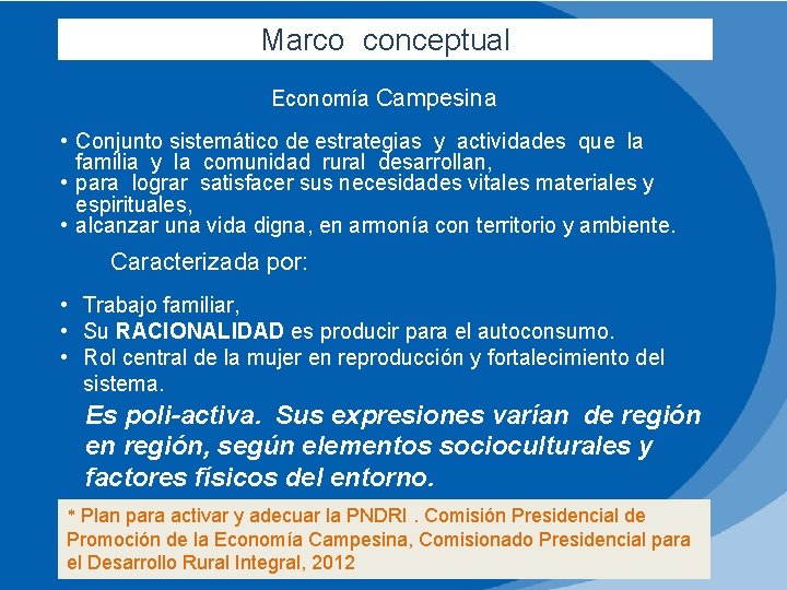 Marco conceptual Economía Campesina • Conjunto sistemático de estrategias y actividades que la familia