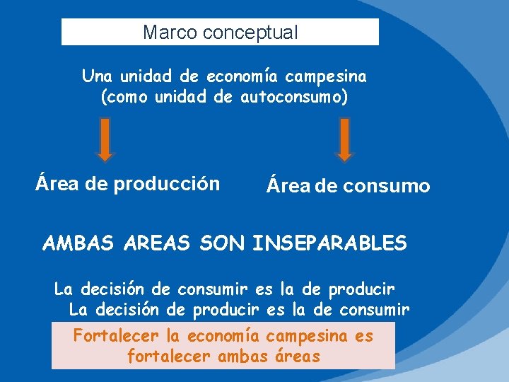 Marco conceptual Una unidad de economía campesina (como unidad de autoconsumo) Área de producción